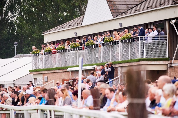 Picture of Dehurst Stand